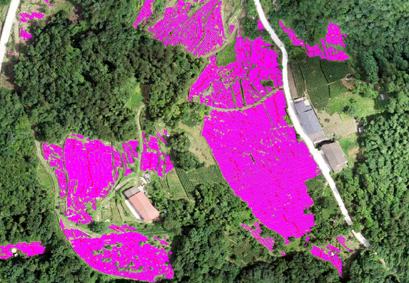 AI•遙感•農(nóng)林(lín)：人(rén)工(gōng)智能(néng)遙感技(jì)術(shù)在農(nóng)林(lín)行(xíng)業(yè)的(de)應用(yòng)